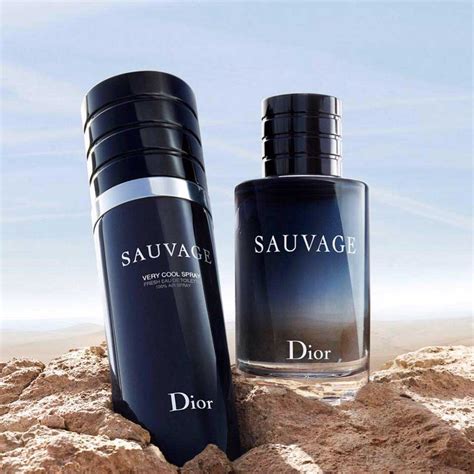 dior sauvage parfum harga|dior sauvage cool spray price.